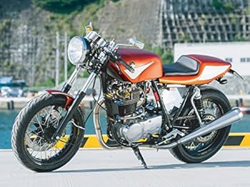 星 Amazon.co.jp: ポッシュ(POSH) ブースタースパークボルテージ